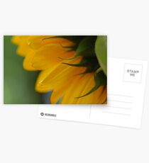 Hello Sun!! Postcards