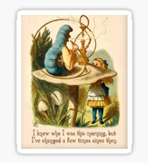 Alice in Wonderland Quote - I Knew Who I Was - Caterpillar Quote - 0235 Sticker