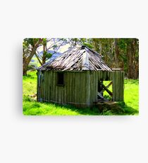 Old shack Canvas Print