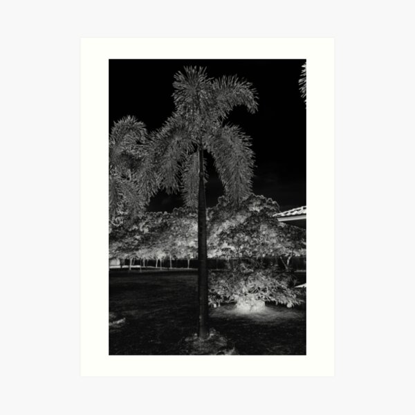 Star Moon Tree Art Print