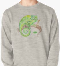 Swirly Chameleon Pullover