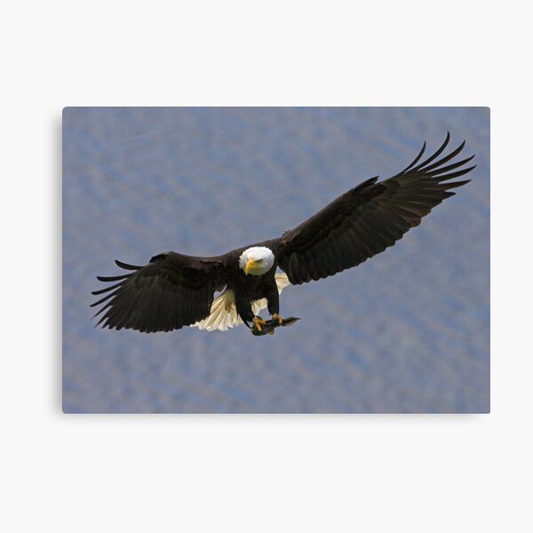Special Delivery Canvas Print
