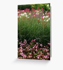 Red Poker Garden Flower Bed Greeting Card
