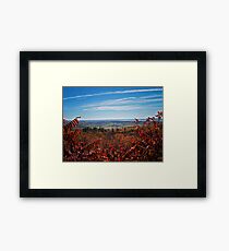 Fall Autumn Countryside viewed through a Red Leaf Bush under a Blue Sky Framed Print