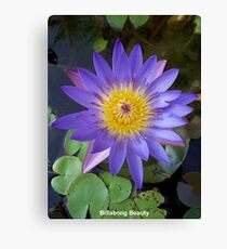 Billabong Beauty Canvas Print