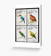 Collection of birds stamps. Greeting Card