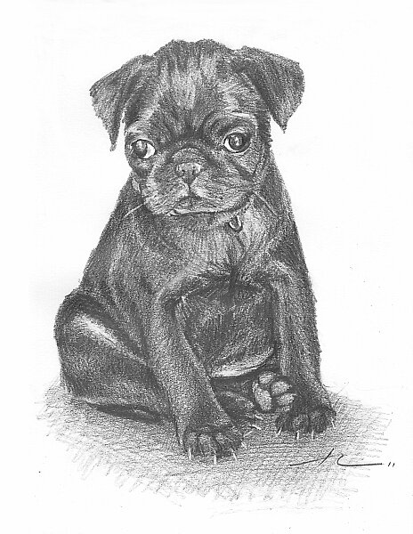 Cute Puppies Black And White Drawing