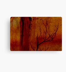 Bushfire Canvas Print