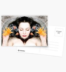 Renewal Postcards