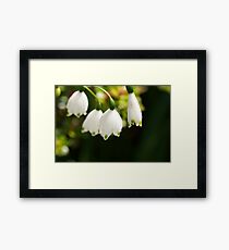 LILY ELITE Framed Print