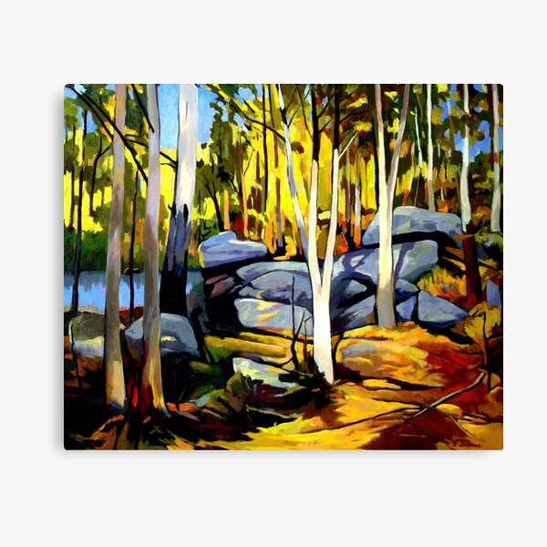 Sunlight and rocks Canvas Print