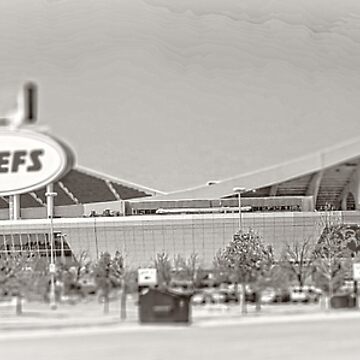 Arrowhead Stadium Kansas City Chiefs Black & White Stadium -   Ireland