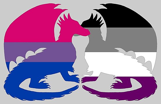 Bi Ace Pride Dragons Photographic Print By Shaneisadragon Redbubble