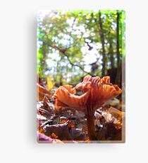 toxic avenger Canvas Print