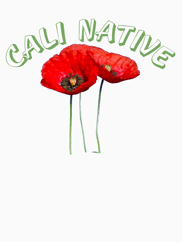 Cali Native with State Flower the Poppy by Rightbrainwoman