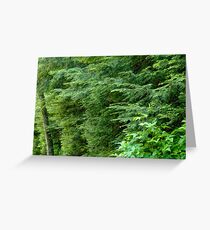 Reaching from the Forest Greeting Card