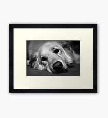 Max Framed Print