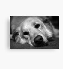 Max Canvas Print