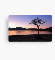 Milarrochy bay Canvas Print