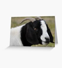 Black and White Greeting Card
