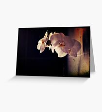 Orchid Flowers Greeting Card