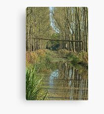 Secluded Canvas Print