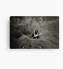 Throne Of Thorns Metal Print