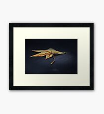 Leaf Framed Print