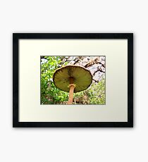 Under the Cap Framed Print
