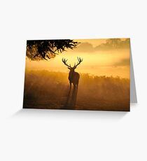 Close Encounters Greeting Card