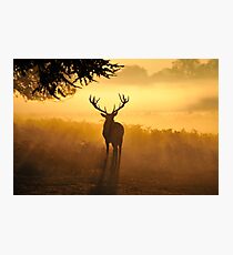 Close Encounters Photographic Print