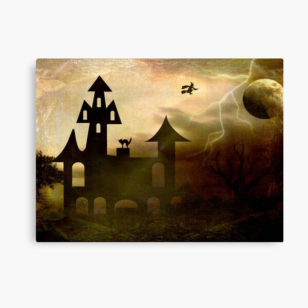 Moon Flight © Canvas Print