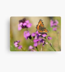 Butterfly on flower Metal Print