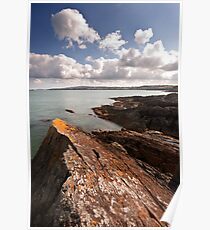 Bull Bay Poster