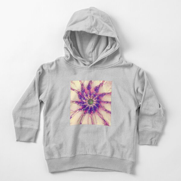 Fractalize abstraction Toddler Pullover Hoodie