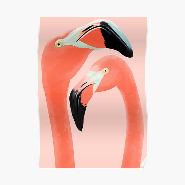 Flamingos Poster