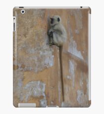 Hidden Indian Monkey iPad-Hülle & Klebefolie