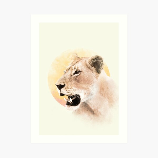 Lioness Art Print