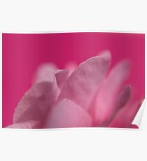 Femininity Poster