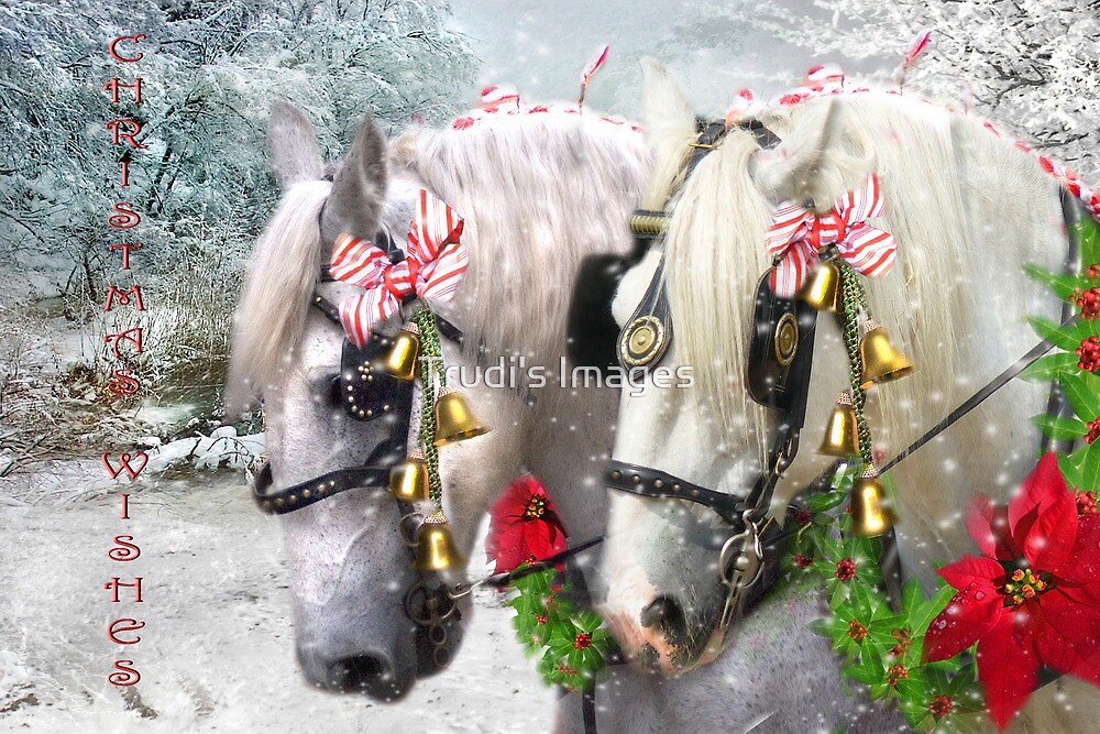 "Jingle Horse" by Trudi's Images Redbubble