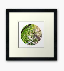 Under The Trees Framed Print