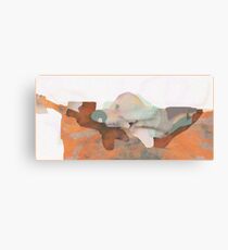 RPz39 Canvas Print