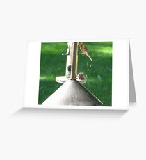 Picky Picky Greeting Card