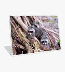 Baby Raccoons Laptop Skin
