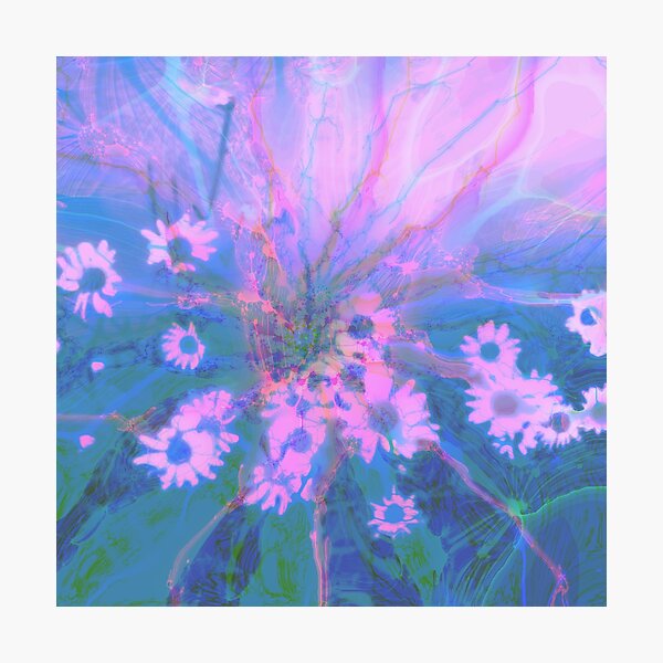 Summer morning Photographic Print