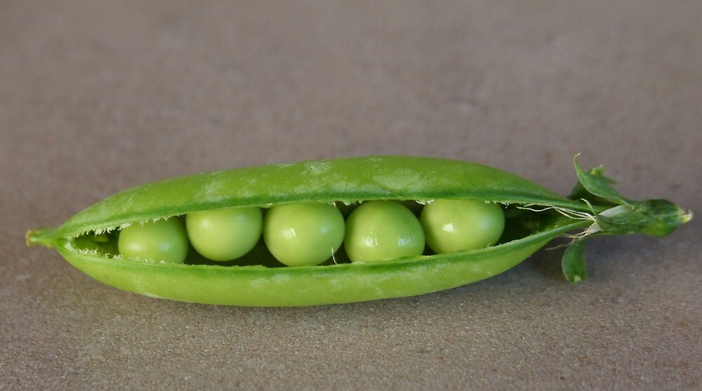 peas in the pod