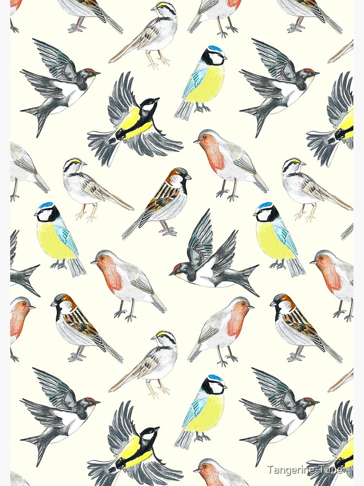 Illustrated Birds by Tangerine-Tane