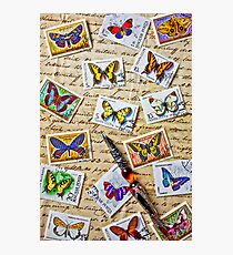 Butterfly stamps and old document Photographic Print