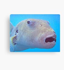 I DON'T DO LIP SERVICE Canvas Print