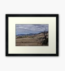 Zoo Plains - Wildlife Reserve Framed Print